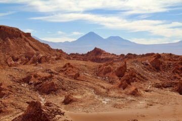 Atacama. Žádné květy, jen staré hadry